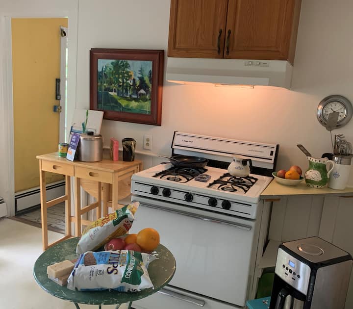 Petit & Magical Room. Walkable. Free Parking. Pets - Burlington, VT