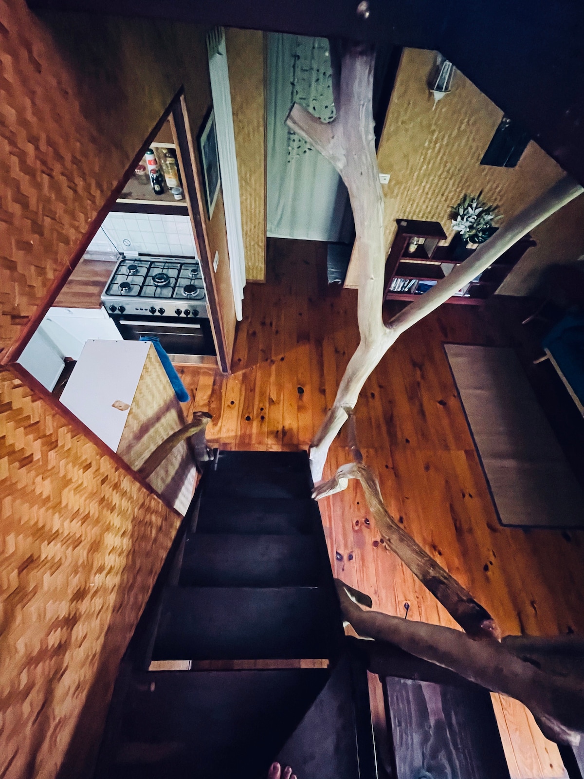 An overhead view of a staircase leads down from a mezzanine, bordered by a natural wood railing. The warm wood flooring and walls provide a cozy ambiance, with glimpses of a kitchen visible through an open entryway. A calming atmosphere is evident throughout the space.