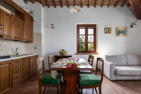 Airbnb con migliori performance: Farmhouse close to Montepulciano a Castiglione Del Lago