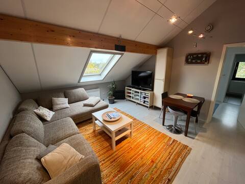 A spacious attic studio in Arlon Luxemburg.