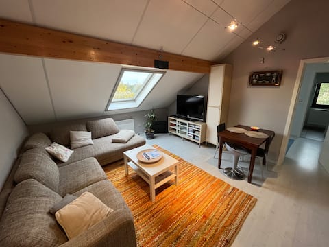 A spacious attic studio in Arlon Luxemburg.