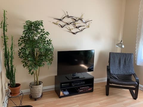 Popular Airbnb listing: L'idéal (metro Pie-IX) in Mercier–Hochelaga Maisonneuve