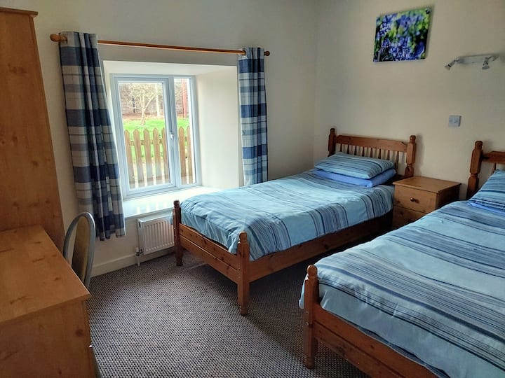 Downstairs twin bedroom