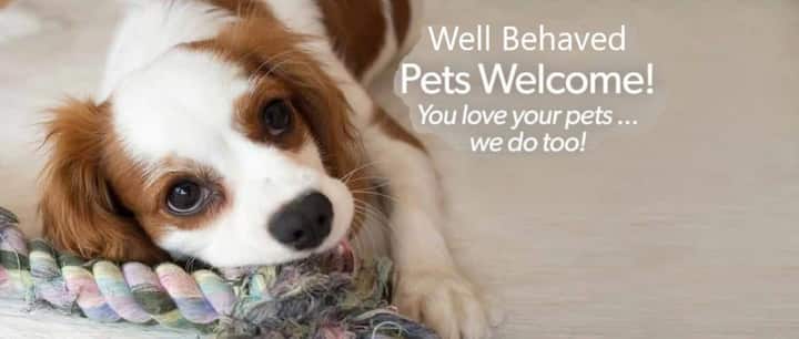 Pet Friendly Holiday Accommodation! - Maitland