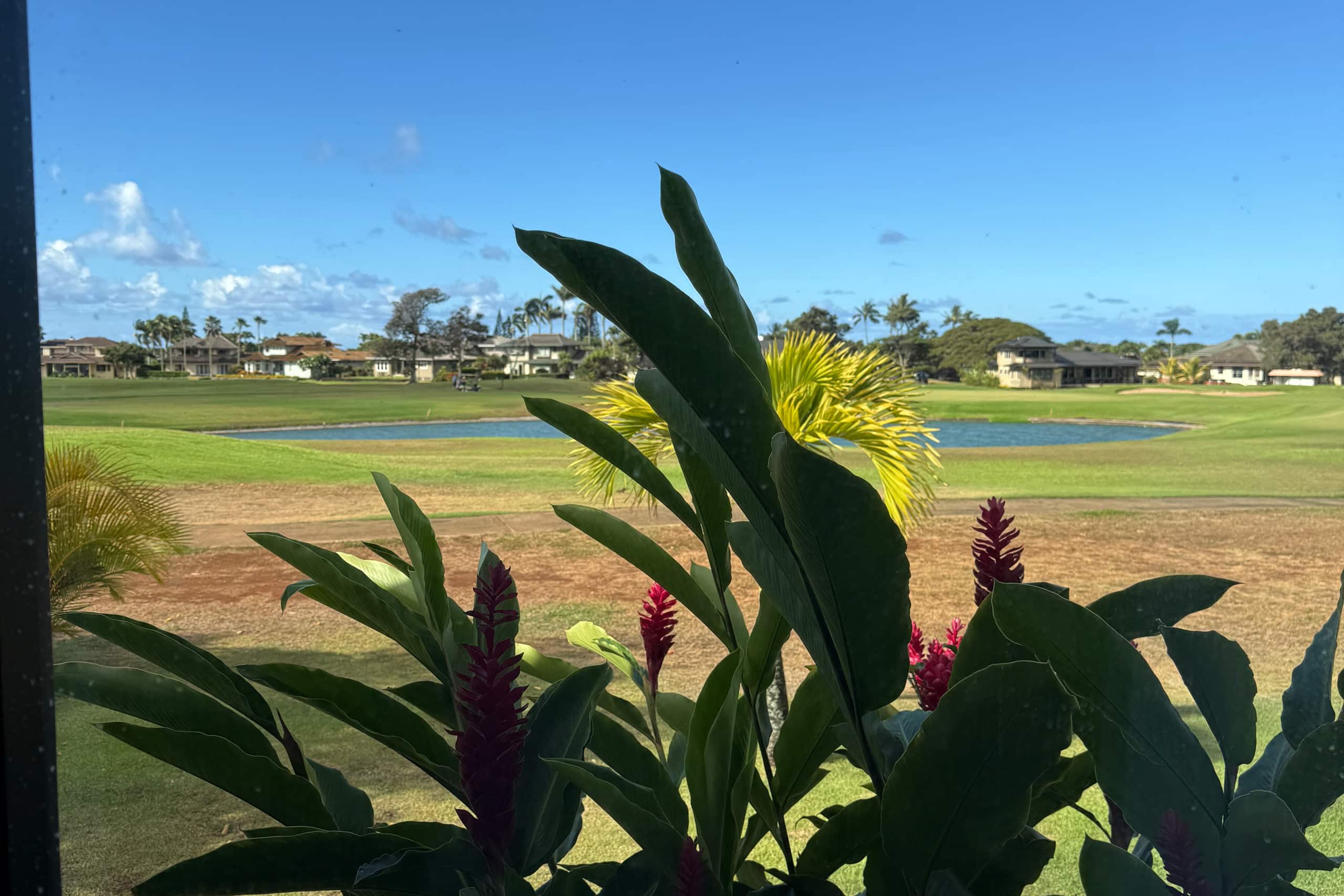 Home in Koloa · ★5.0 · 4 bedrooms · 4 beds · 4.5 baths - Photo 31