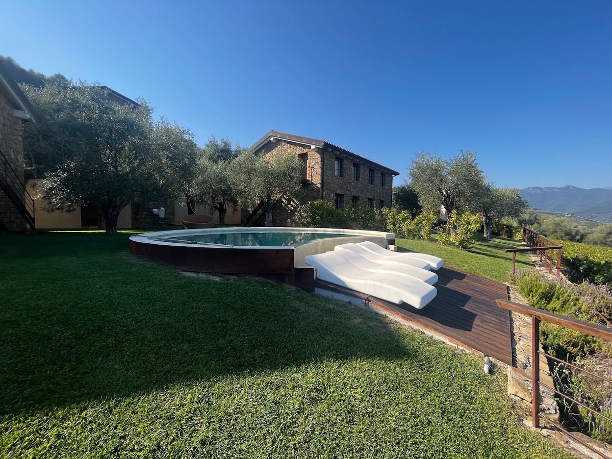 A circular pool is set in a grassy area surrounded by olive trees, with sun loungers positioned nearby. Two stone buildings are visible in the background, framed by a clear blue sky and distant mountains.