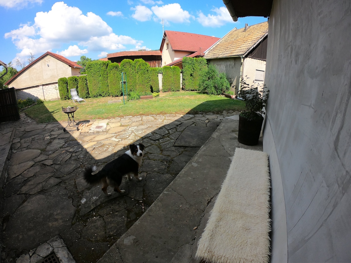 A fenced outdoor space is visible, featuring a stone patio and grassy area. A modest seating area is positioned near the building, while a charcoal grill stands in the corner. A friendly dog can be seen exploring the yard, surrounded by greenery and fenced boundaries.