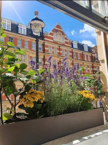 Spacious 4 BR apartment, in Marble Arch gallery image 3