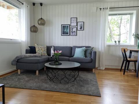 Popular Airbnb listing: Cozy apartment 10 min from Centrum - free parking! in Tomasjord