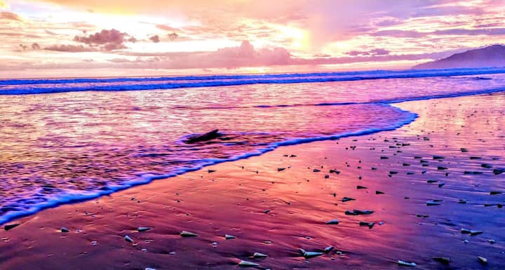 Pacific retreat! 3 min walk to the beach!