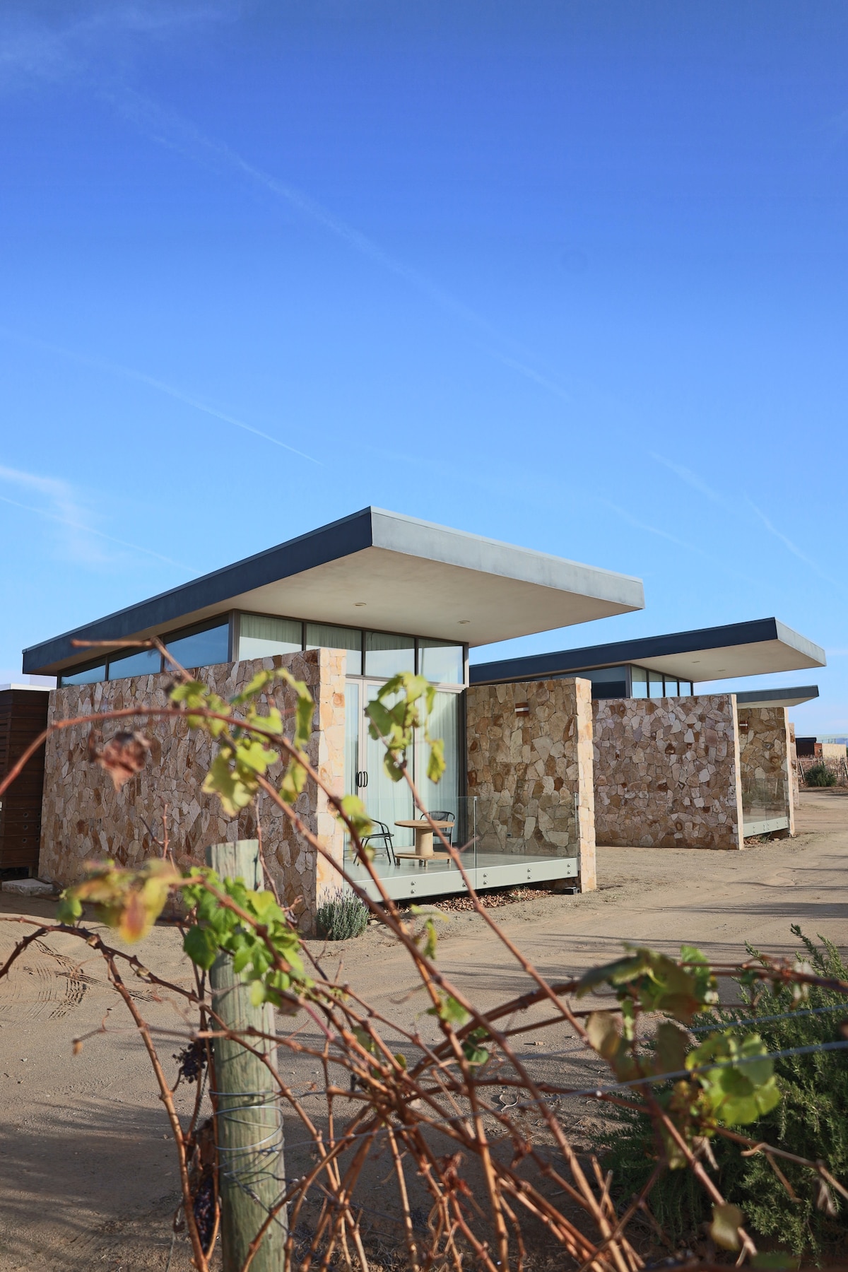 Two modern structures featuring flat roofs and large glass windows are set against a clear blue sky. The exteriors are adorned with natural stone, providing a unique textural contrast. A nearby vine adds greenery to the scene, framing the buildings attractively.
