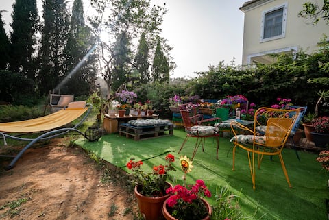 katia's apartment friendly quiet n cozi