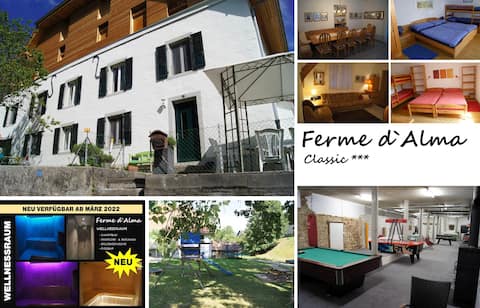 LA FERME D`ALMA - Apartment "Classic"