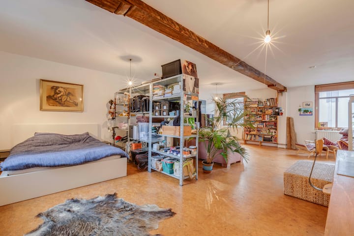 Spacious Loft Right In The Center Of Ghent - Gent
