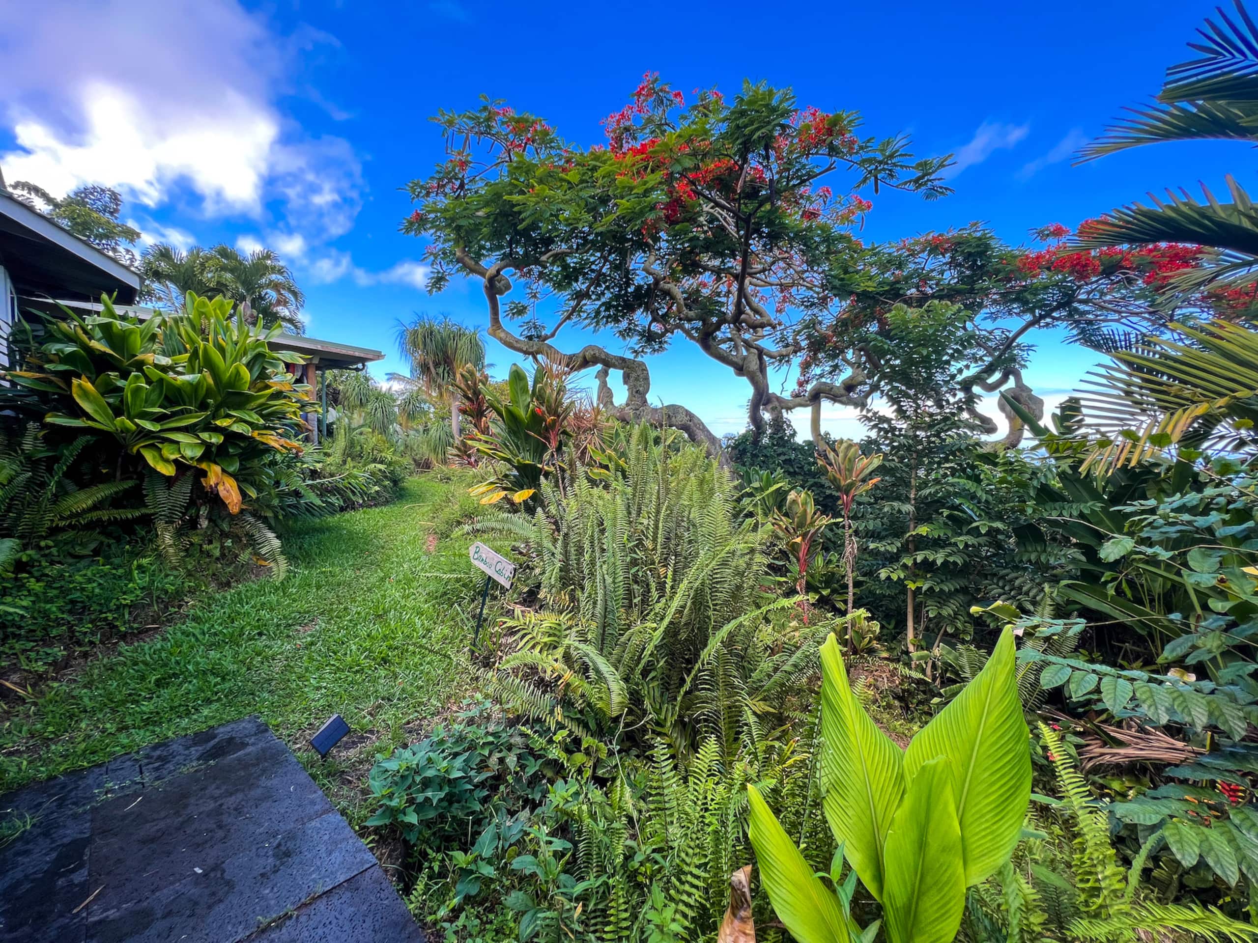 Unplug and Reset: Sunset Suite with Ocean View - Photo 14