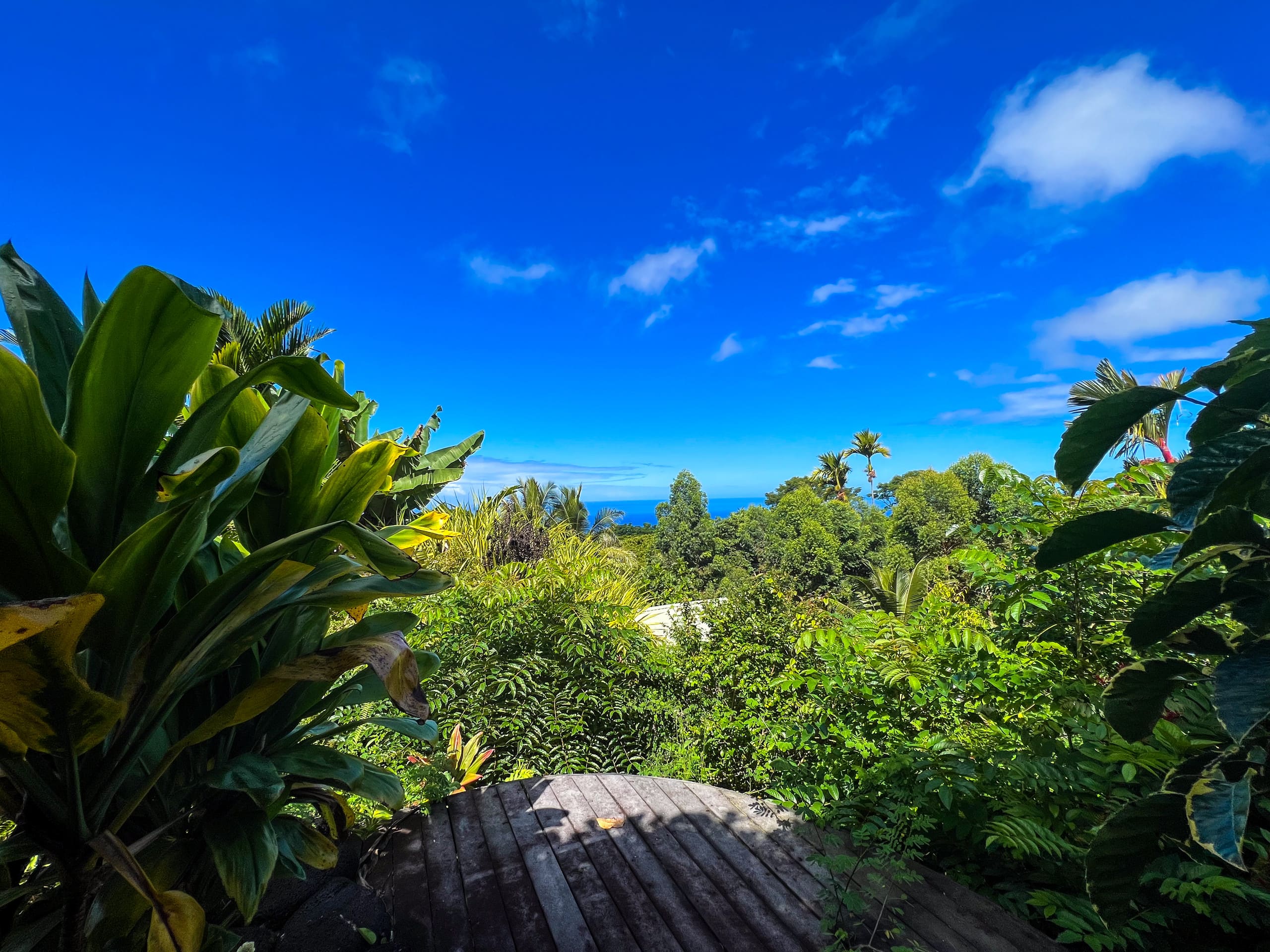 Unplug and Reset: Sunset Suite with Ocean View - Photo 16