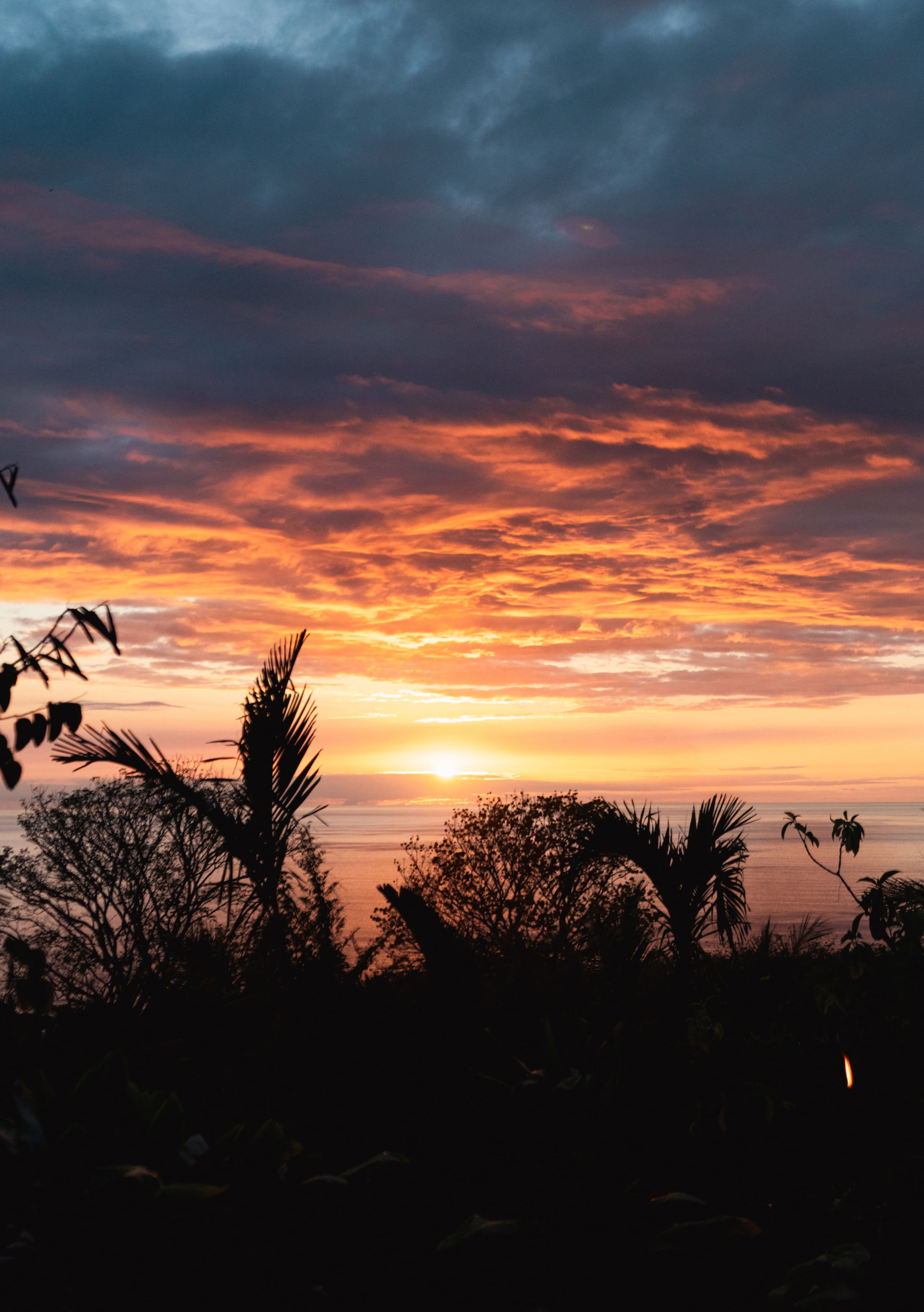 Unplug and Reset: Sunset Suite with Ocean View - Photo 19