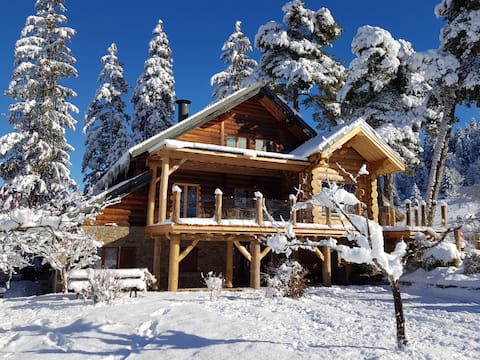 Superb log chalet with sauna - Vercors