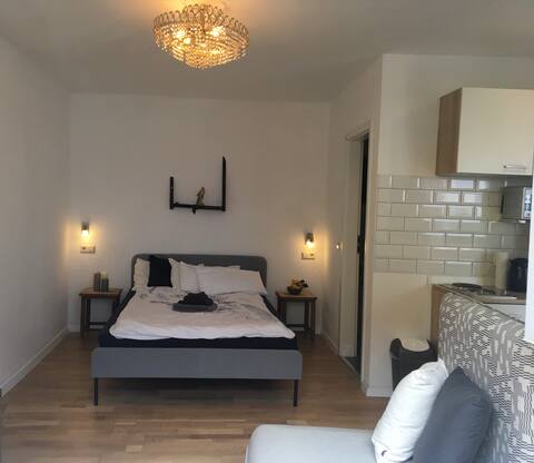 one-room apartment in Heidelberg