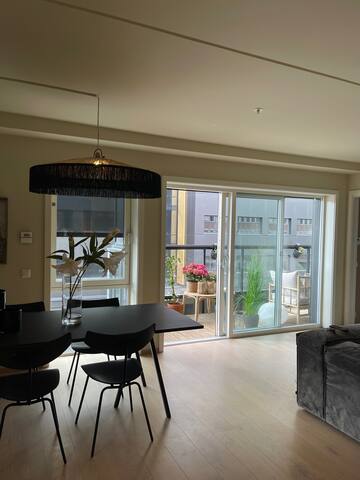 Luxourious 80 m2 apartment in the city centre!