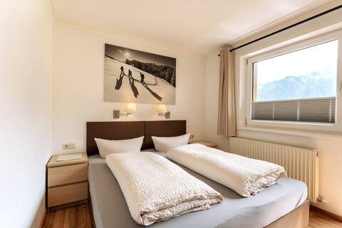 Apartment in the heart of the Alps