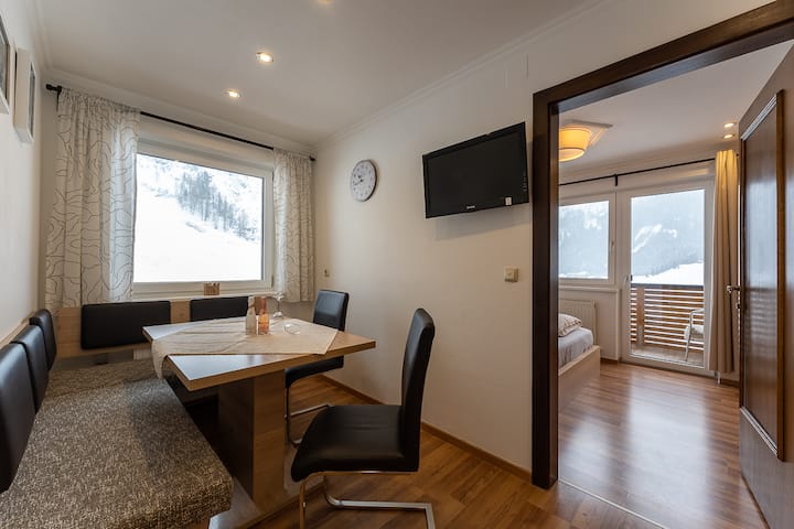 Apartment in the heart of the Alps