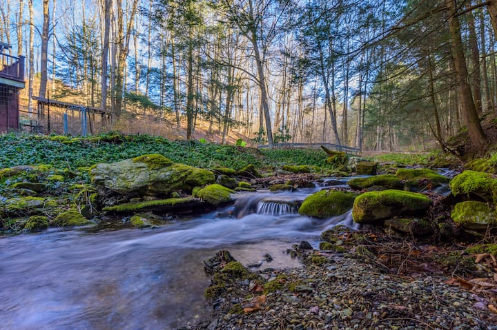 Harvey Mountain Lodge by State Forest