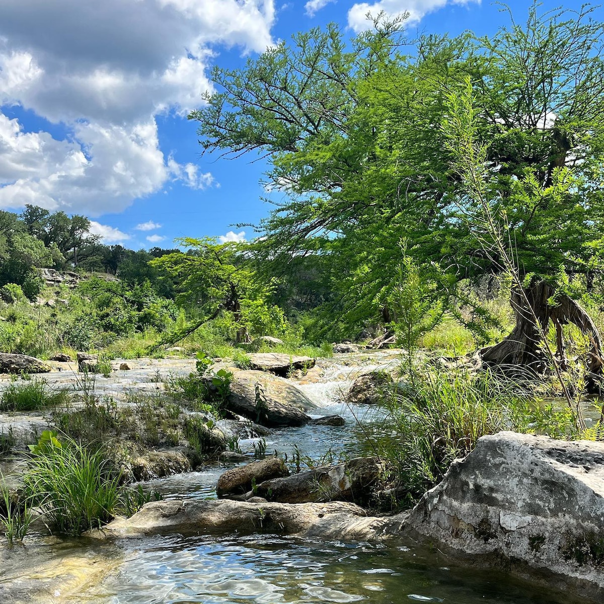 Take the Plunge in Wimberley