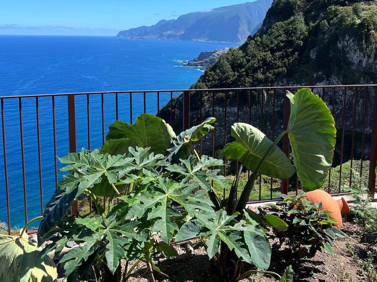 A balcony view captures lush greenery with large tropical leaves against a backdrop of the deep blue ocean and dramatic cliffs. The horizon features rolling hills and a clear sky, creating a serene atmosphere. The arrangement of plants invites a sense of connection to nature.