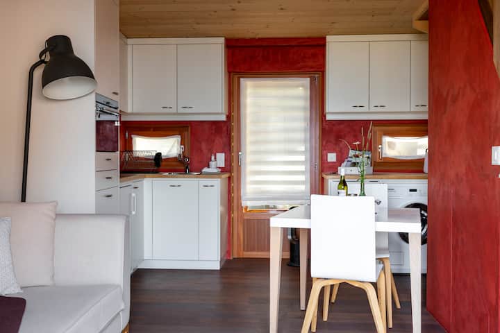 Perle de Lavaux with outstanding Lake Léman views