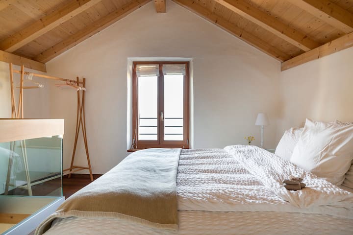 Perle de Lavaux with outstanding Lake Léman views