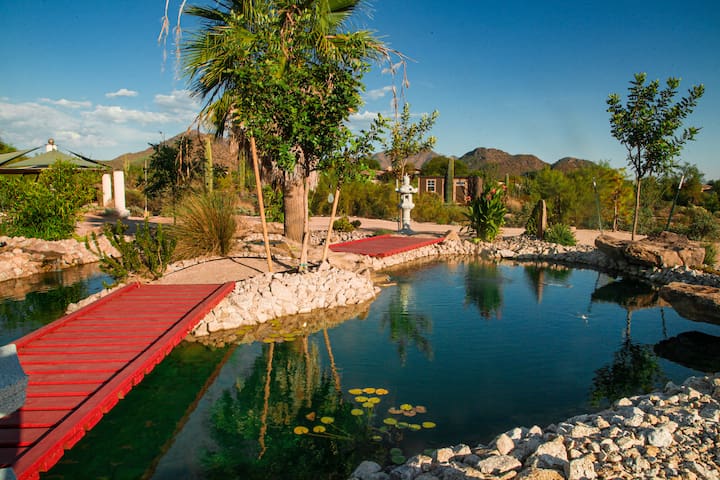 Listing in Scottsdale