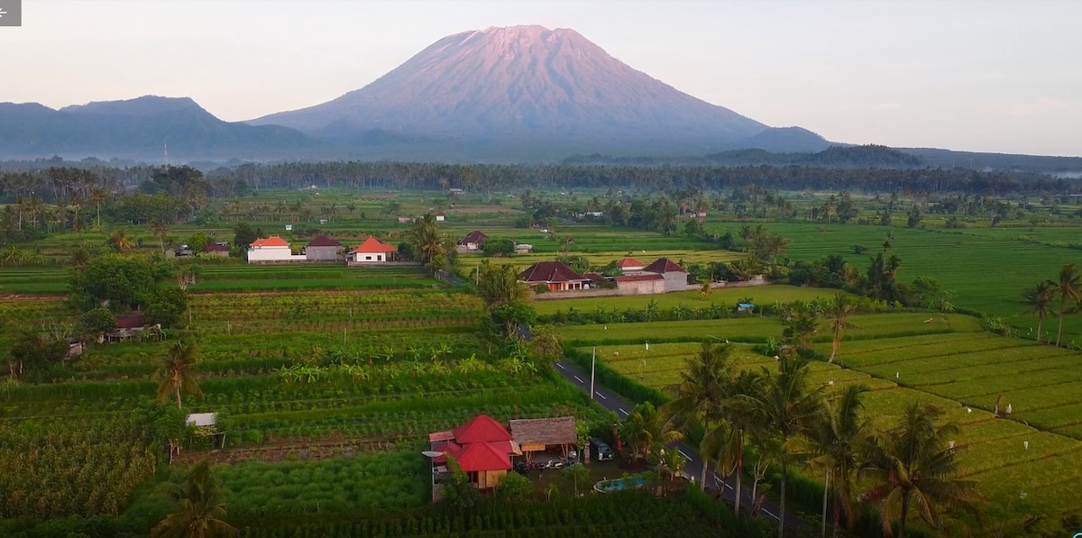 A scenic view of lush green rice fields stretches across the foreground, with a mountain rising majestically in the background. Several traditional houses dot the landscape, surrounded by vibrant vegetation and palm trees, showcasing the serene beauty of the rural environment.