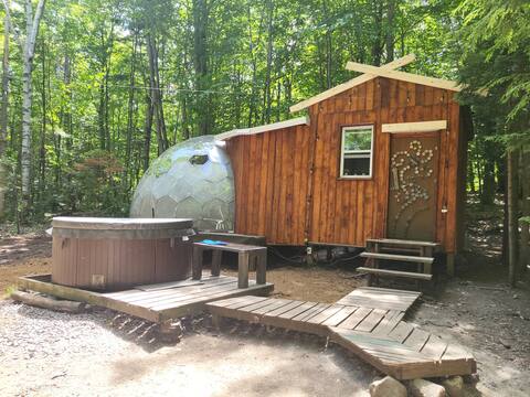 La bulle Phoenix
