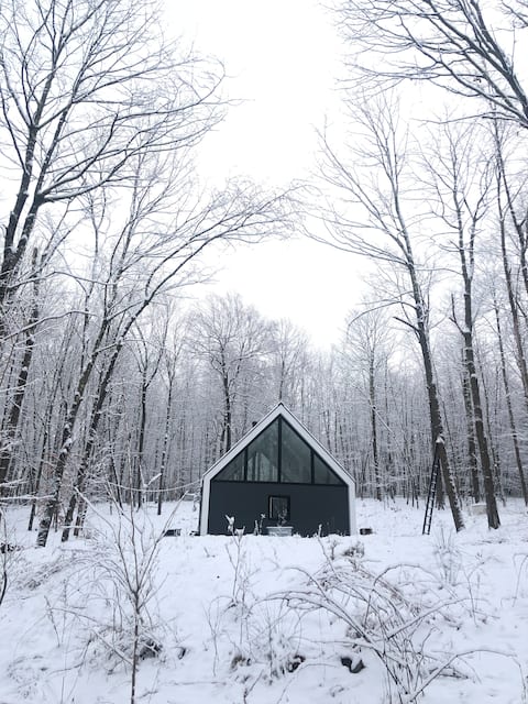 Modern Upstate Cabin, near Rhinebeck NY
