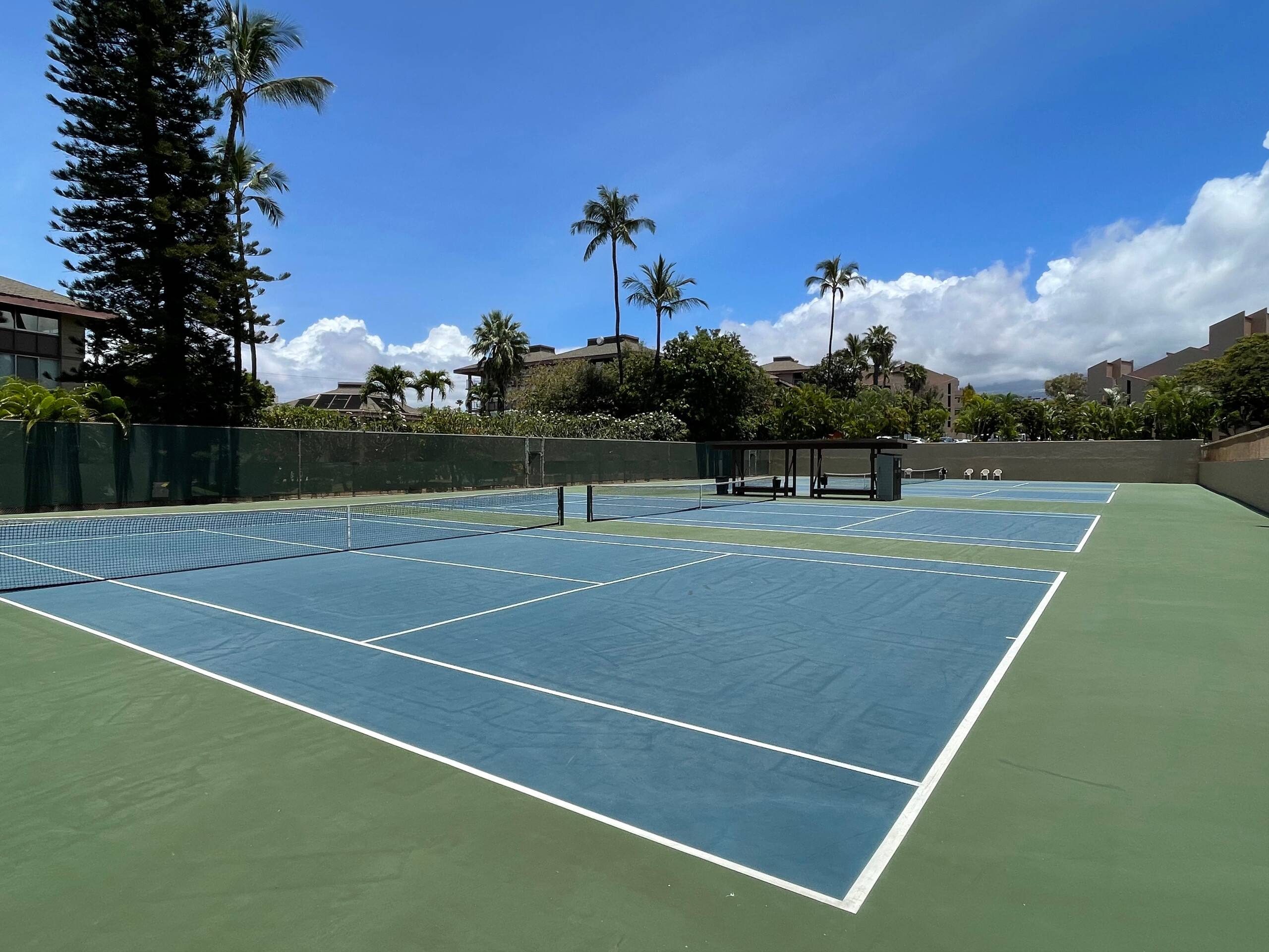 Condo in Kihei · ★4.9 · 1 bedroom · 1 bed · 2 private baths - Image 11