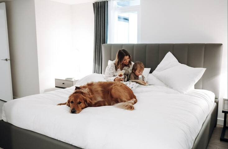 Level South Olive- Sky Suite Three Bedroom