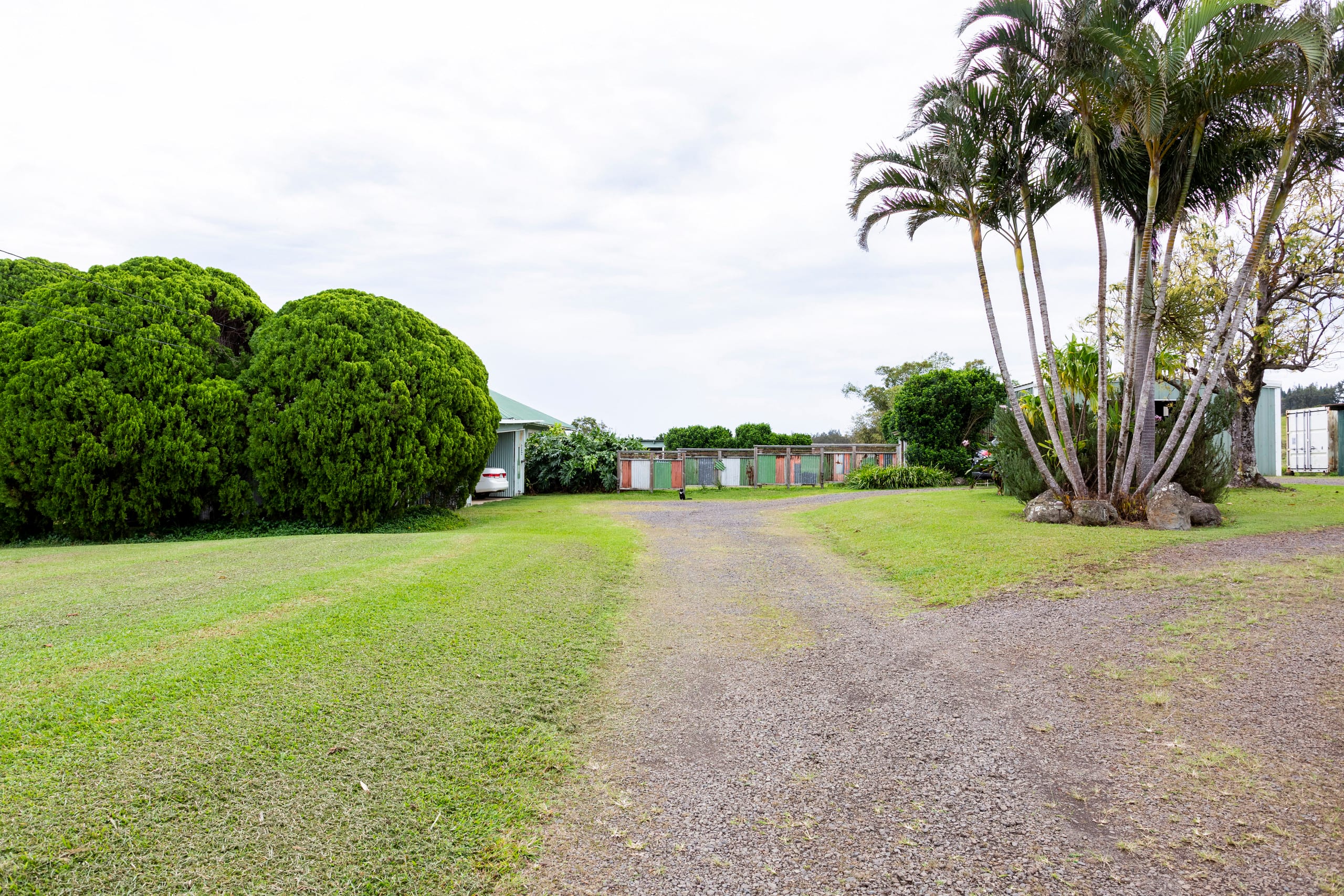 Quiet and Private Up In Hawi - Photo 15