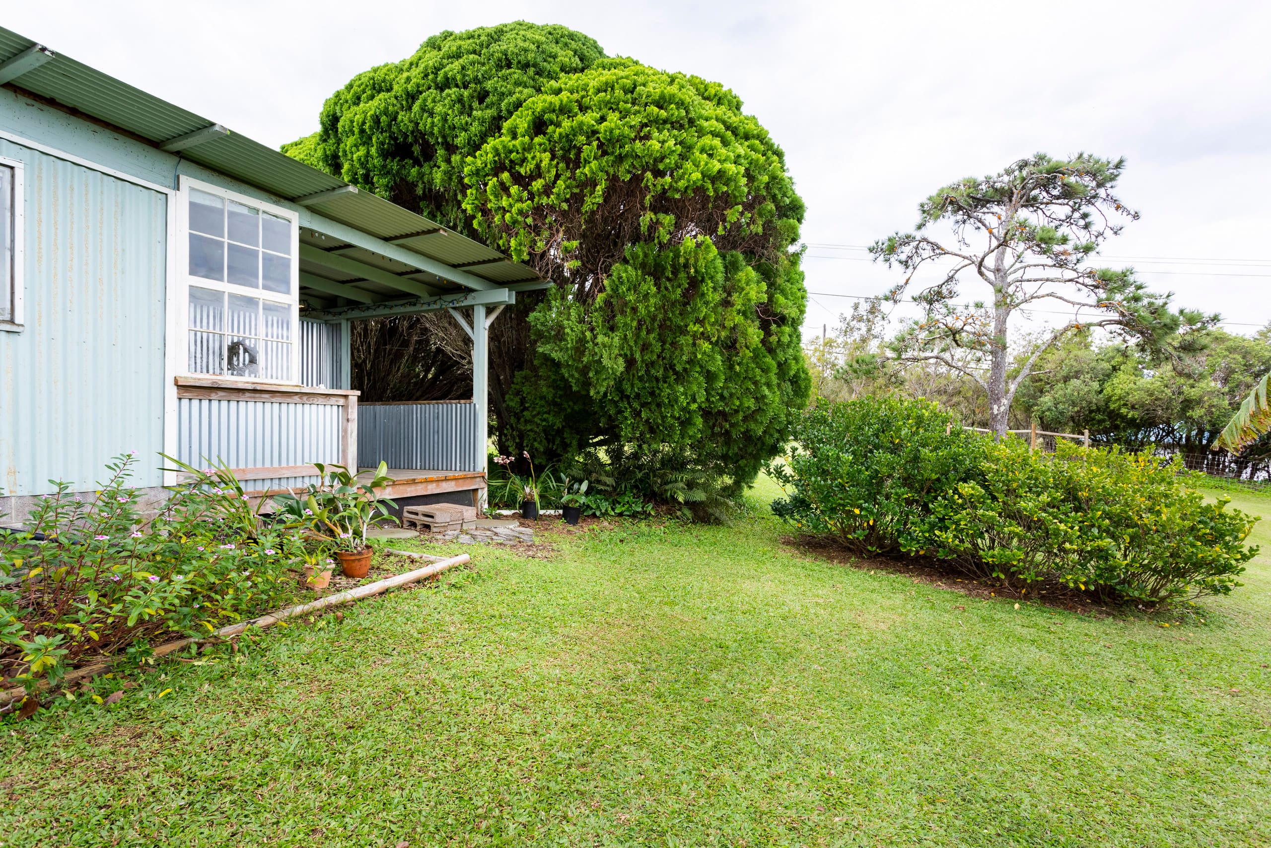Quiet and Private Up In Hawi - Photo 17