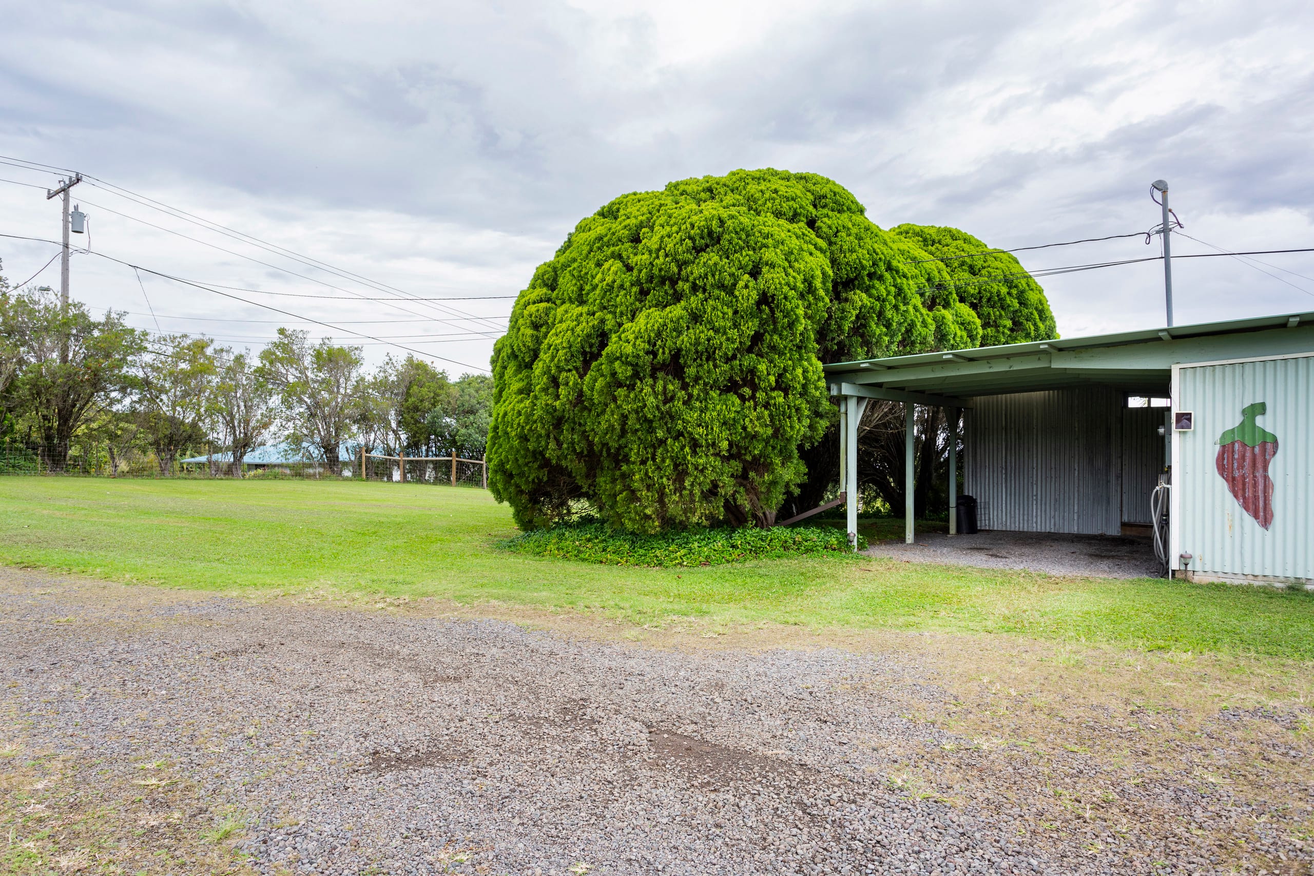 Quiet and Private Up In Hawi - Photo 14