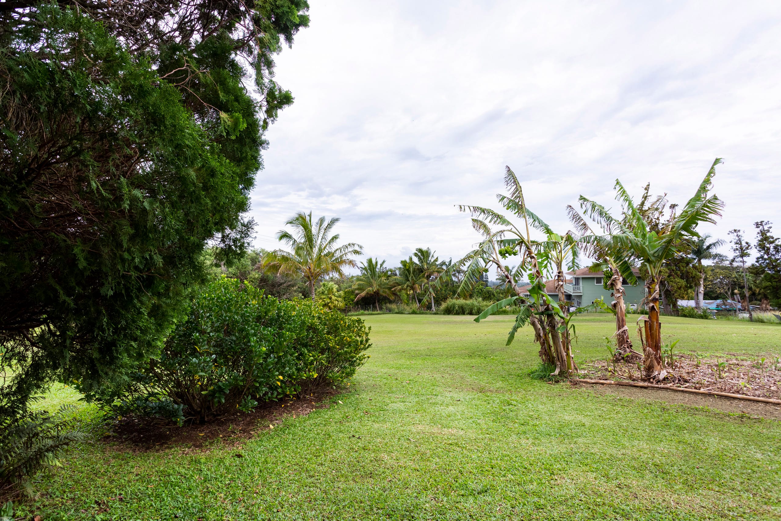 Quiet and Private Up In Hawi - Photo 13