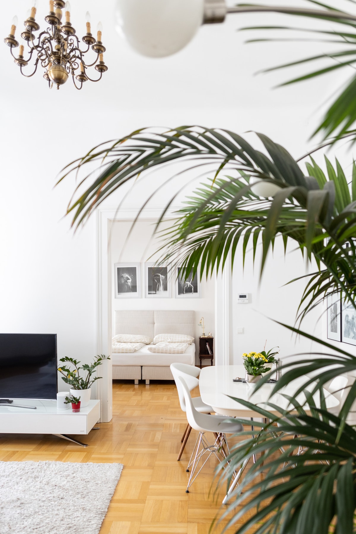 A bright living space is highlighted by a large television and a white dining table surrounded by stylish chairs. Lush green plants frame the scene, while a cozy seating area is visible in the background, adding warmth to the atmosphere.