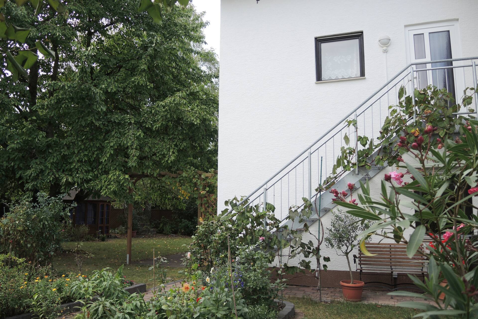 Friendly, comfortable apartment by the cherry tree
