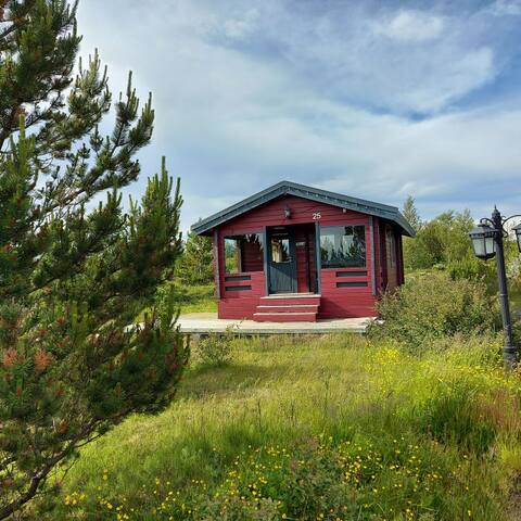 Beautiful cottage of the Northern Lights