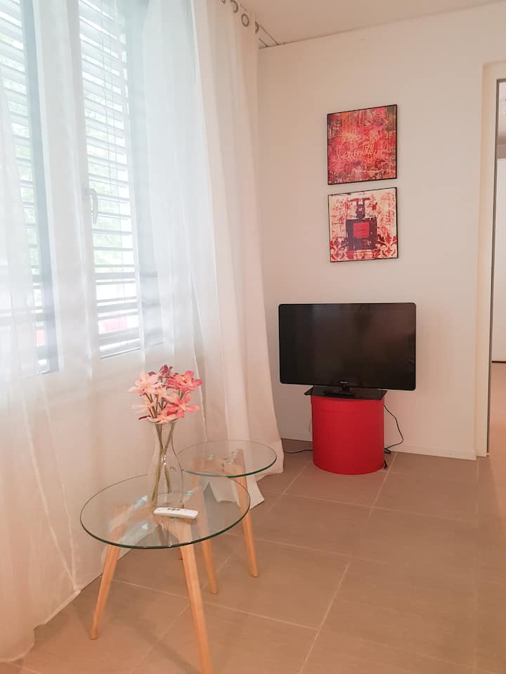 Appartement Confortable, éLégant, Proche Centre - Lausanne