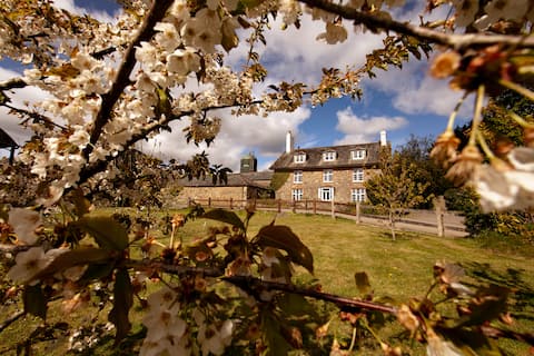 Luxury Manor House for 16 People