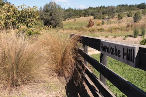 Harakeke Hill, near Motueka