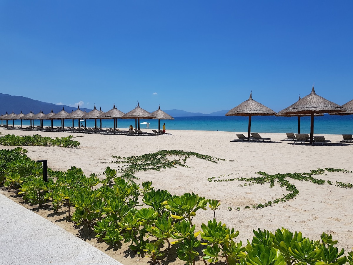 A sandy beach area is lined with thatched umbrellas providing shade. Sun loungers are arranged neatly beneath the umbrellas. A clear blue sky complements the calm ocean waters in the background, while green vegetation adds a touch of color at the beach's edge.