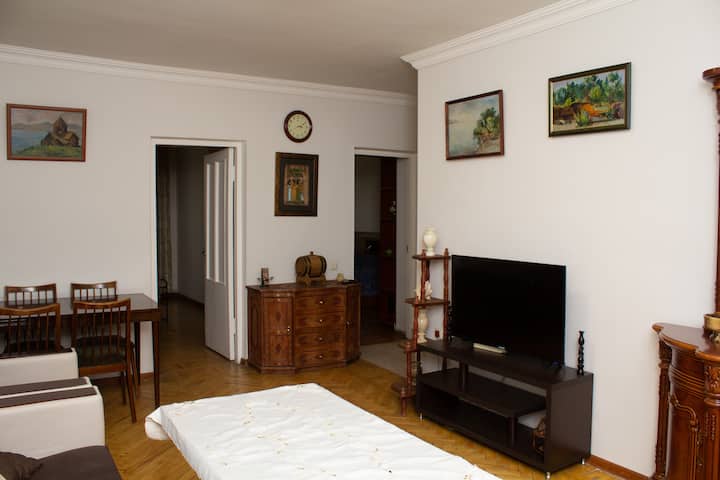 A comfortable flat in the downtown