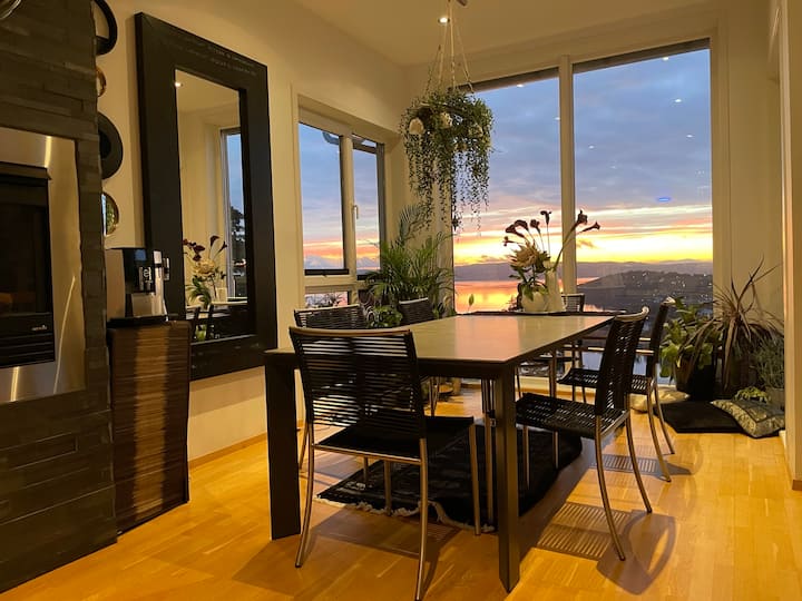 Stunning views in a quiet villa area Houses for Rent in Oslo, Oslo